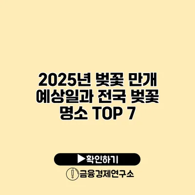2025년 벚꽃 만개 예상일과 전국 벚꽃 명소 TOP 7