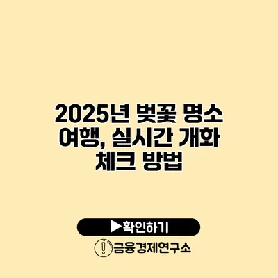 2025년 벚꽃 명소 여행, 실시간 개화 체크 방법