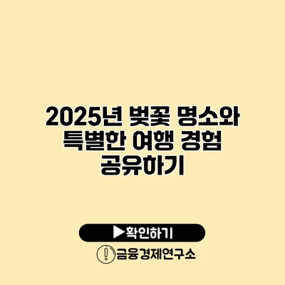2025년 벚꽃 명소와 특별한 여행 경험 공유하기