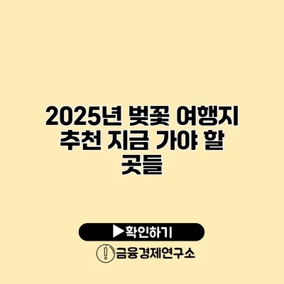 2025년 벚꽃 여행지 추천 지금 가야 할 곳들