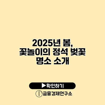 2025년 봄, 꽃놀이의 정석 벚꽃 명소 소개
