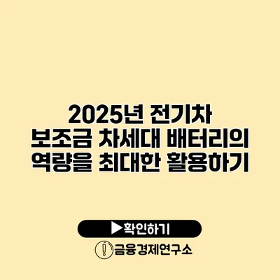 2025년 전기차 보조금 차세대 배터리의 역량을 최대한 활용하기