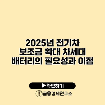 2025년 전기차 보조금 확대 차세대 배터리의 필요성과 이점