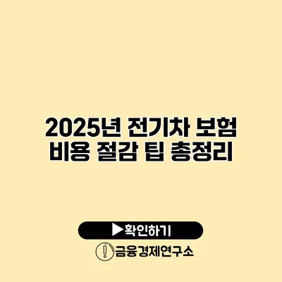 2025년 전기차 보험 비용 절감 팁 총정리
