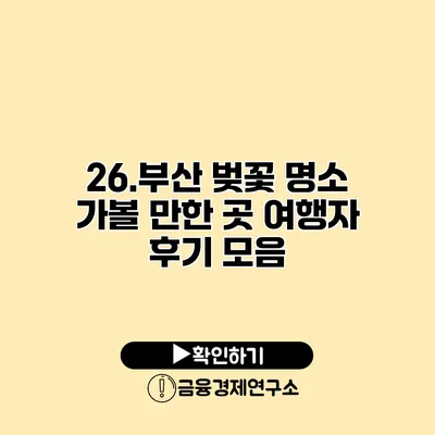 26.부산 벚꽃 명소 가볼 만한 곳 여행자 후기 모음
