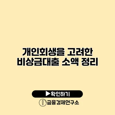 개인회생을 고려한 비상금대출 소액 정리