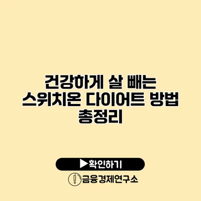 건강하게 살 빼는 스위치온 다이어트 방법 총정리