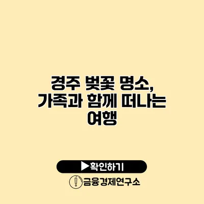 경주 벚꽃 명소, 가족과 함께 떠나는 여행