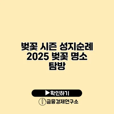 벚꽃 시즌 성지순례 2025 벚꽃 명소 탐방