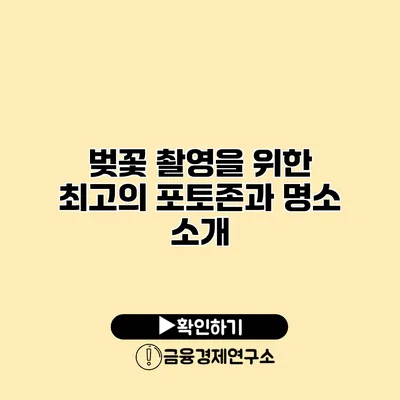 벚꽃 촬영을 위한 최고의 포토존과 명소 소개