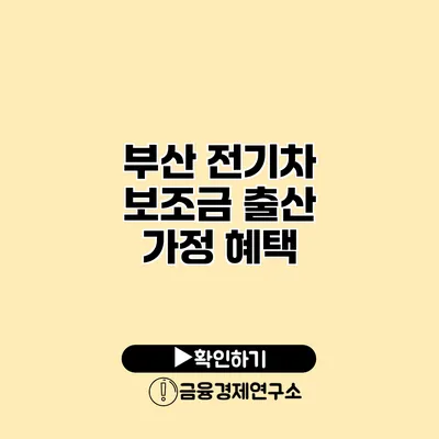 부산 전기차 보조금 출산 가정 혜택