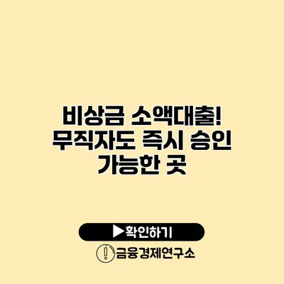 비상금 소액대출! 무직자도 즉시 승인 가능한 곳