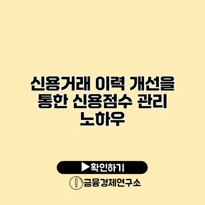 신용거래 이력 개선을 통한 신용점수 관리 노하우