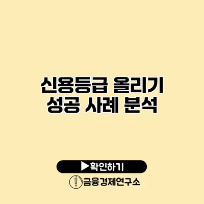 신용등급 올리기 성공 사례 분석