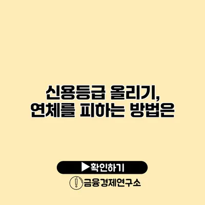 신용등급 올리기, 연체를 피하는 방법은?