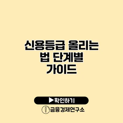신용등급 올리는 법 단계별 가이드