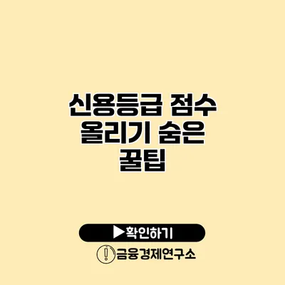 신용등급 점수 올리기 숨은 꿀팁