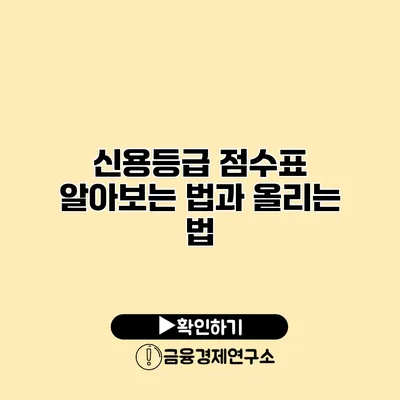 신용등급 점수표 알아보는 법과 올리는 법