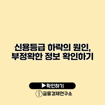 신용등급 하락의 원인, 부정확한 정보 확인하기