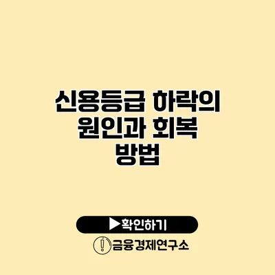 신용등급 하락의 원인과 회복 방법