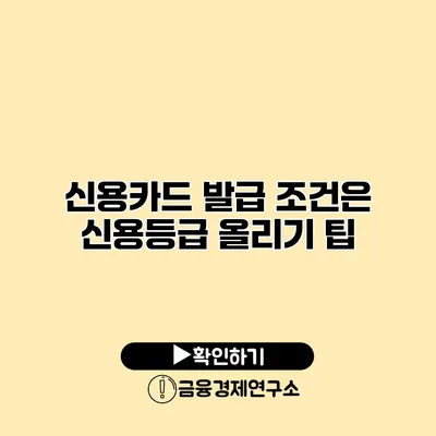 신용카드 발급 조건은? 신용등급 올리기 팁