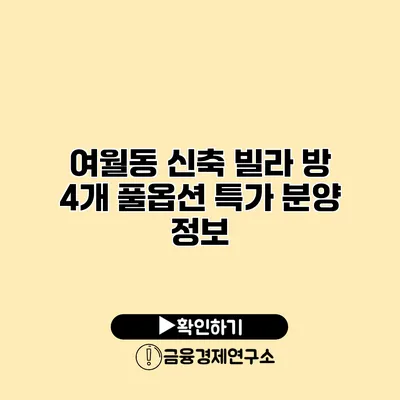 여월동 신축 빌라 방 4개 풀옵션 특가 분양 정보