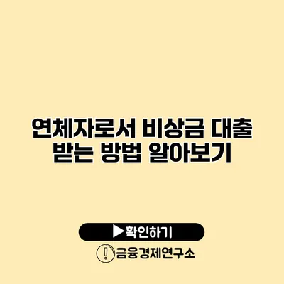 연체자로서 비상금 대출 받는 방법 알아보기