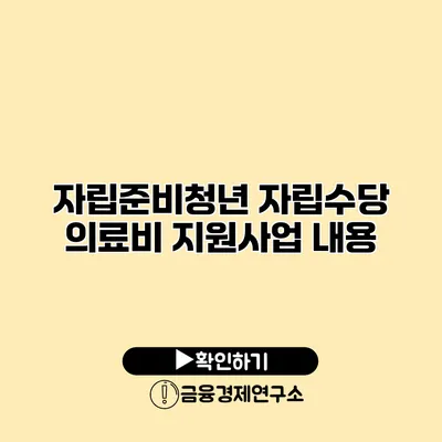 자립준비청년 자립수당 의료비 지원사업 내용