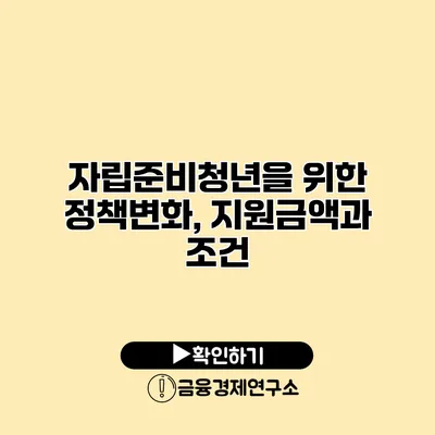 자립준비청년을 위한 정책변화, 지원금액과 조건