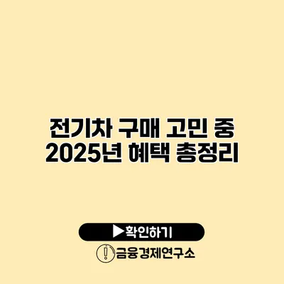 전기차 구매 고민 중? 2025년 혜택 총정리