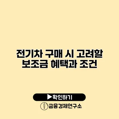 전기차 구매 시 고려할 보조금 혜택과 조건