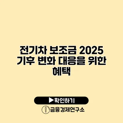전기차 보조금 2025 기후 변화 대응을 위한 혜택