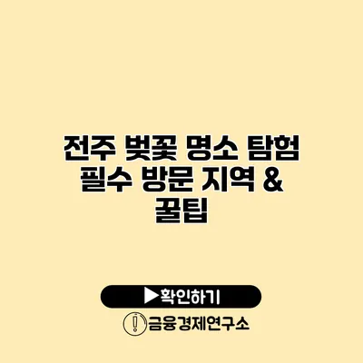 전주 벚꽃 명소 탐험 필수 방문 지역 & 꿀팁