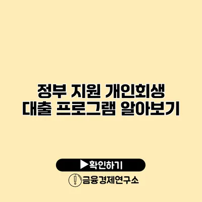 정부 지원 개인회생 대출 프로그램 알아보기
