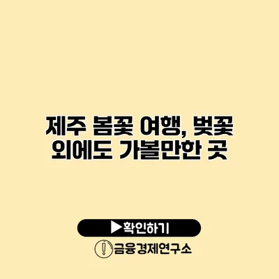 제주 봄꽃 여행, 벚꽃 외에도 가볼만한 곳