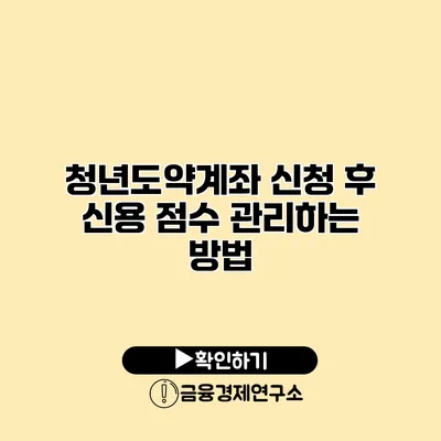 청년도약계좌 신청 후 신용 점수 관리하는 방법
