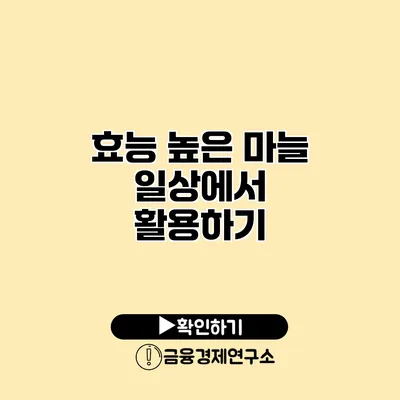 효능 높은 마늘 일상에서 활용하기