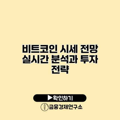 비트코인 시세 전망 실시간 분석과 투자 전략
