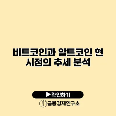 비트코인과 알트코인 현 시점의 추세 분석