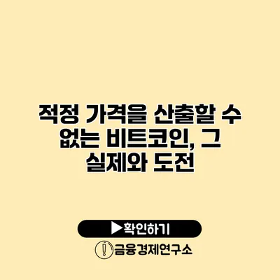 적정 가격을 산출할 수 없는 비트코인, 그 실제와 도전